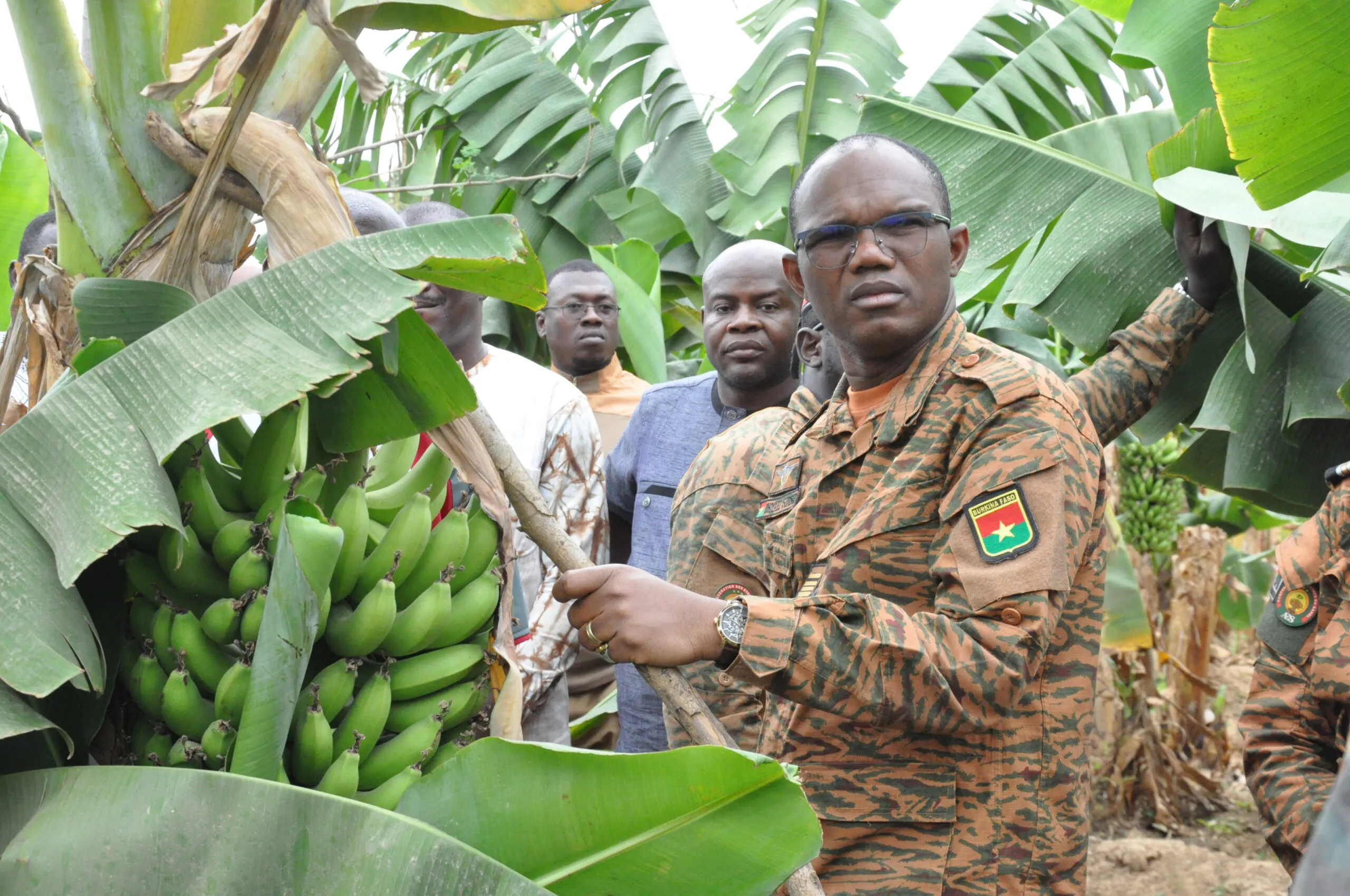 Campagne agricole de saison sèche : Le ministre d’État Ismaël Sombié en visite dans une bananeraie à Boulmoutéon 2