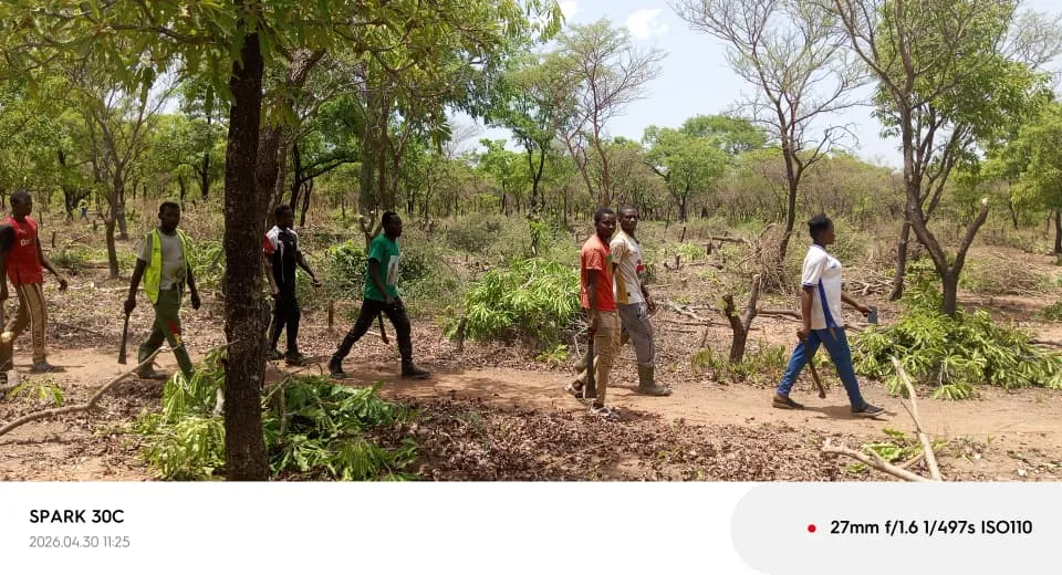 Commune de Gbomblora : les VDP agricoles de la deuxième cohorte passent à l’offensive